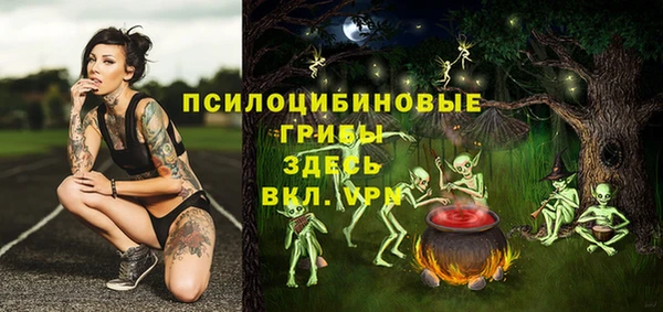 мескалин Инсар