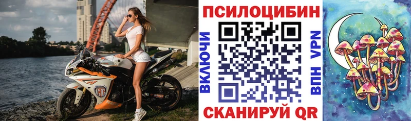 Псилоцибиновые грибы Psilocybe Ирбит
