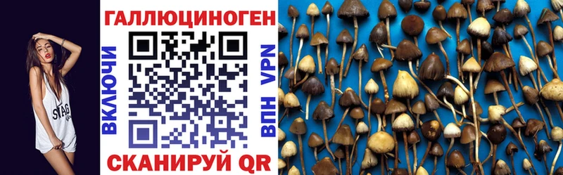 Псилоцибиновые грибы MAGIC MUSHROOMS  Купить  Ирбит 