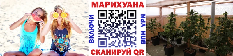 Бошки марихуана Bruce Banner  Купить  Ирбит 